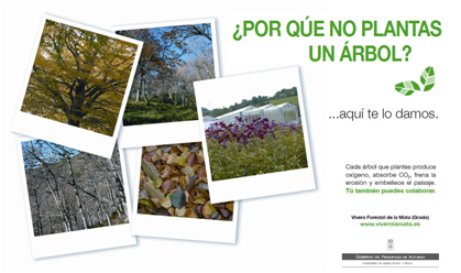 Stand de entrega de plantas